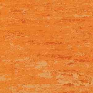 Линолеум LINODUR SPORT 1072 Peach Orange фото ##numphoto## | FLOORDEALER